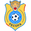 Congo DR National Team (FECOFA) (Democratic Republic of the Congo) logo