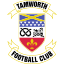 Tamworth (England) logo