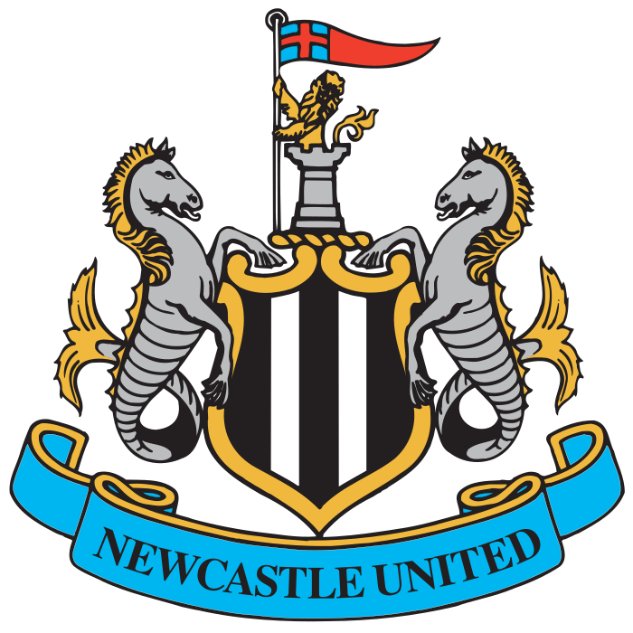 Newcastle (England) logo