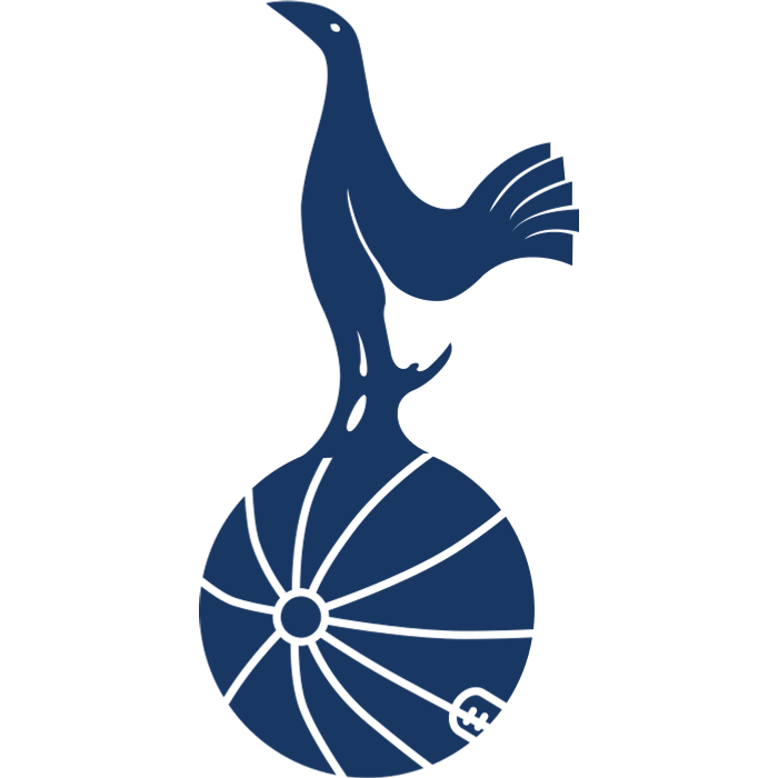 Tottenham 1973-1981 (England) logo