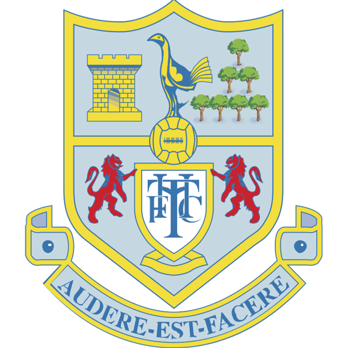 Tottenham 1988-1989 (England) logo