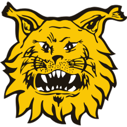 Ilves (Finland) logo