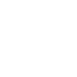 French Ligue 1 2025-2026