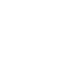 Ligue 2 White (France) logo