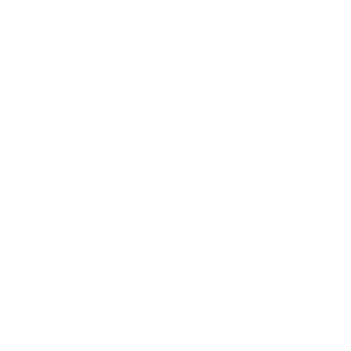 Ligue 1 White (France) logo