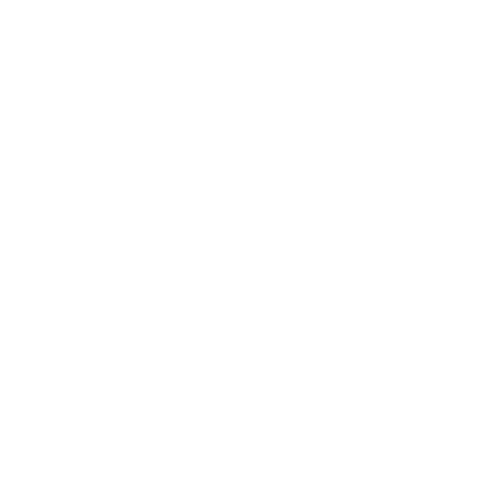 Ligue 2 White (France) logo