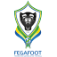 Gabon National Team (FEGAFOOT) (Gabon) logo