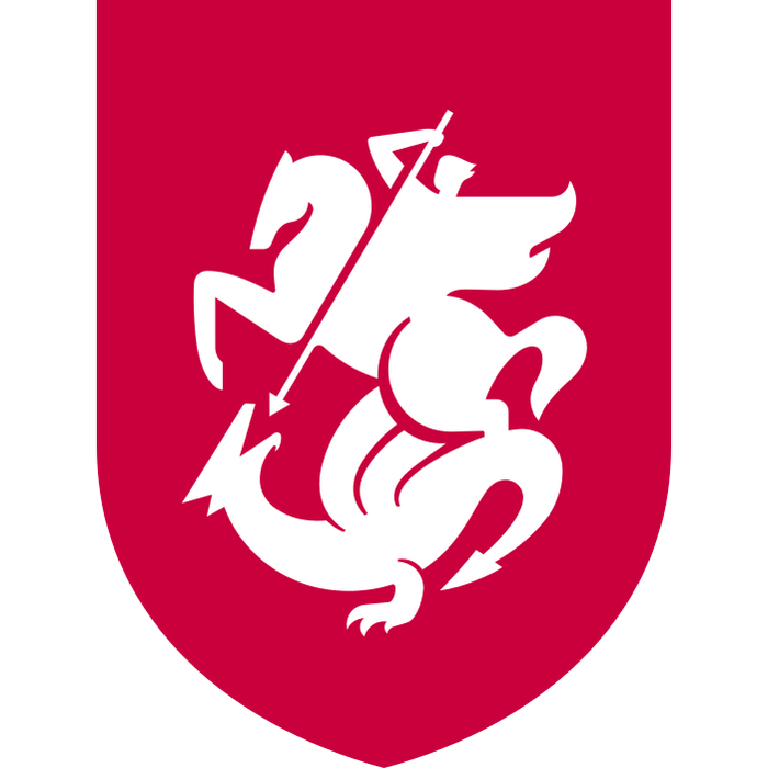 Georgia National Team (Georgia) logo