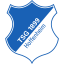 Hoffenheim (Germany) logo