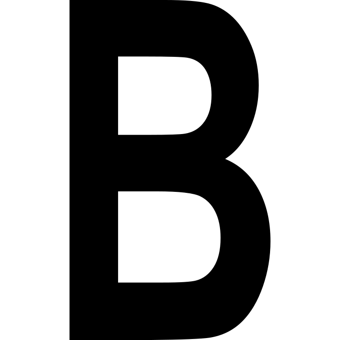 Borussia Dortmund (BVB) 1913-1919 (Germany) logo