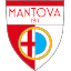 Mantova 1911 (Italy) logo