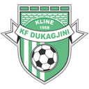 Dukagjini (Kosovo) logo