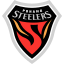 Pohang Steelers (포항 스틸러스) (South Korea) logo