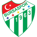 Bursaspor (Turkey) logo