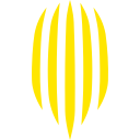 Rukh Lviv (Рух Львів) (Ukraine) logo
