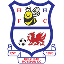 Holyhead Hotspur (Wales) logo