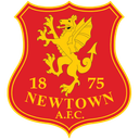 Newtown (Wales) logo