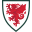Wales National Team (Wales) logo