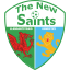 The New Saints (Wales) logo
